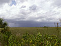 Everglades Nat'l Park