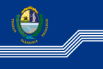 Flag of Salto Department Uruguay