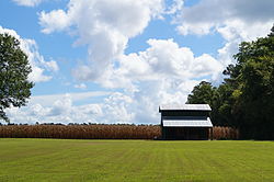 Foscue and Simmons Plantation.JPG