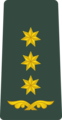 Џорџија (Полковники, Полковник )