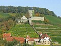 Hohenbeilstein in Beilstein