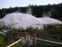 Vue sur la tufière en 2005.