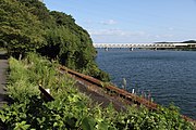 駅構内。草が多い茂っている状態である（2019年9月）