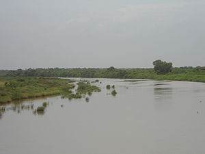 Река Коринга в Таллареву во время сезона дождей.jpg