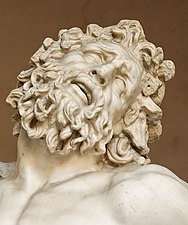 Il volto del Laocoonte.