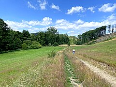 Blütenreiche Magerwiese am Hang