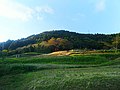 日立市下深荻町の中里トンネル北の稲荷神社遠景（2018年)