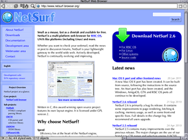 Скриншот программы NetSurf