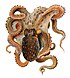 A brown octopus with wriggly arms