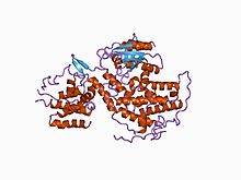 PDB 1bkd EBI.jpg