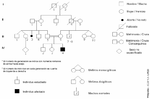 Miniatura para Diagrama de pedigrí