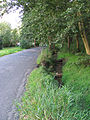 Die Rietzschke neben der Straße Rietzschkegrund, Blick nach Norden