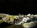 Sortie du bassin de la cascade du Ray-Pic.