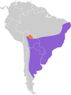 Distribución geográfica del piojito tiquitiqui.