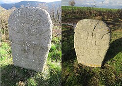 Image illustrative de l’article Statue-menhir des Vignals