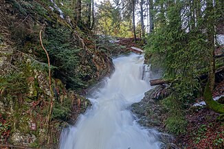 Stufe 1 des Todtmooser Wasserfalls