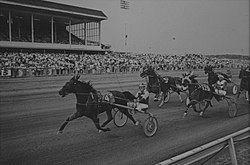 Vernon Downs Race Track.jpg