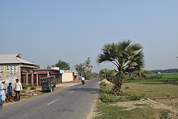 Fields in Madan Upazila