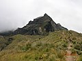 Auf dem Weg zum Gipfel des Rucu Pichincha