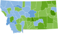 1946 United States Senate election in Montana Democratic primary