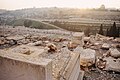 Il cimitero ebraico sul monte degli Ulivi e sullo sfondo la città di Gerusalemme