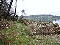 Tas d'anciennes tuiles ostréicoles sur un terre-plein le long de la rive droite de la Rivière du Bono.