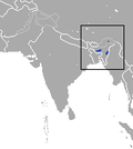 Aire de répartition de la musaraigne-taupe d'Assam