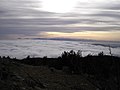 Un caratteristico "mare di nubi" (esteso banco di stratocumuli da inversione termica) dalla vetta del Beigua.