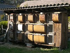 Clapier de ferme tchèque (République tchèque)