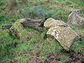 Image 33Bog-wood and boulders at the Stumpy Knowe near South Auchenmade, Ayrshire, Scotland (from Bog)