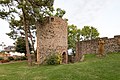 Burgruine und Stadtmauer