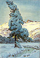 Carl Felber, Pin de montagne dans la neige
