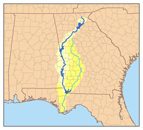 Río Chattahoochee - TIC MAKERS