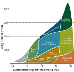 Diagram, årlig gjennomsnittlig temperatur og nedbør bestemmer landjordens biomer etter Whittakers inndeling.