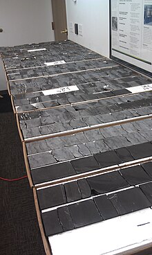 Cut Bakken Core samples.jpg