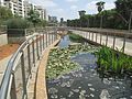 תמונה ממוזערת לגרסה מ־10:19, 29 במרץ 2017