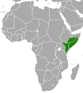 Phạm vi cầy mangut lùn Ethiopia