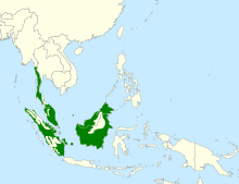 range map with green shading indicating the species occurs in parts of Indonesia and the Malay Peninsula