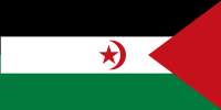 阿拉伯撒哈拉民主共和國的旗幟（右邊方向）