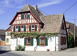 Skyline of Friesenheim