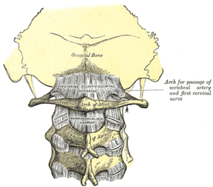 Posterior atlantoöccipital membrane and atlant...