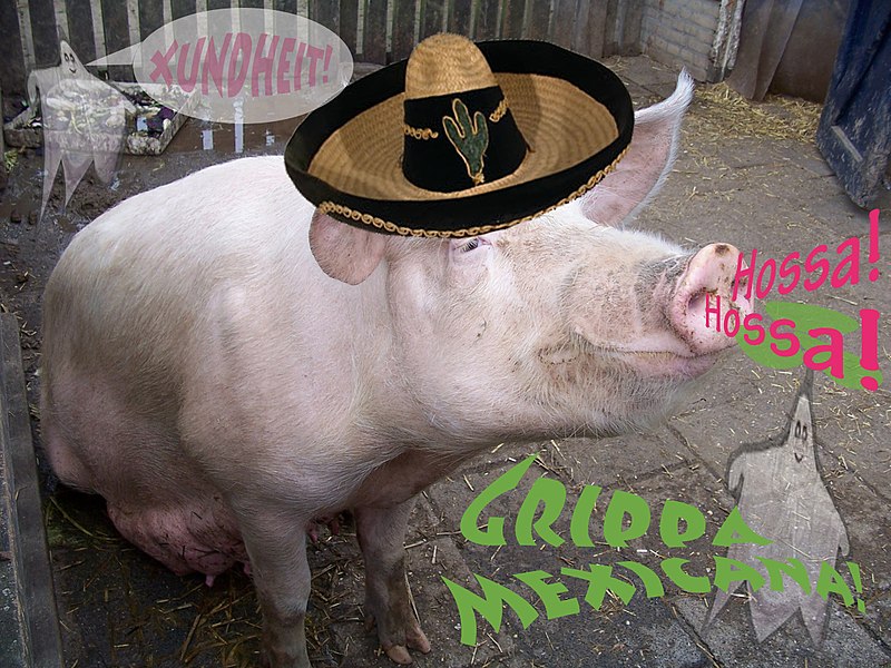 800px-Grippa_Mexicana.jpg