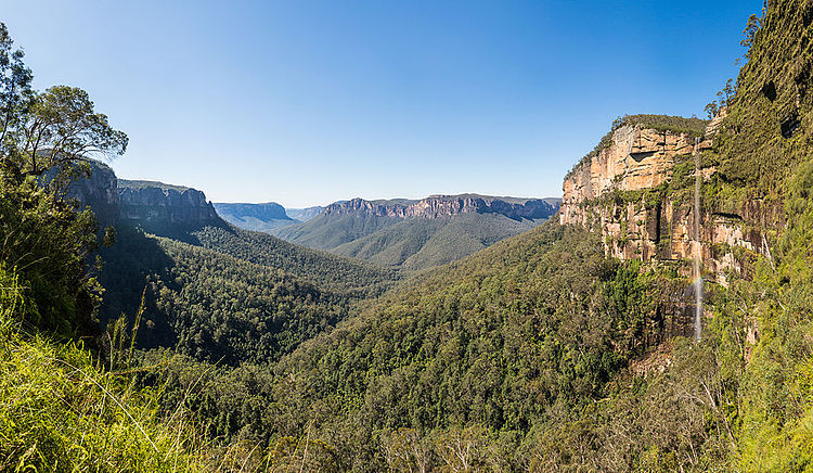 Панорама долины Гроуз в Голубых горах (Австралия)