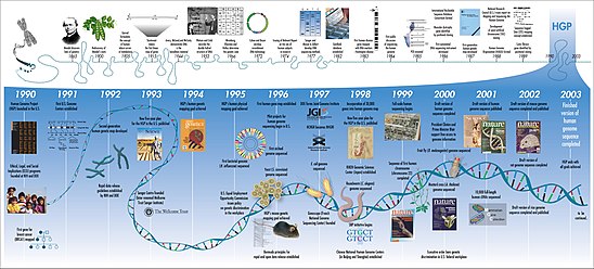 This timeline displays the year-by-year progress of the Human Genome Project in the context of genetics since 1865. Starting in 1990, by 1999, chromosome 22 became the first human chromosome to be completely sequenced. Human Genome Project Timeline (26964377742).jpg