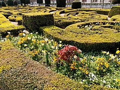 Massif de plantes annuelles dans les parterres du jardin à la française.