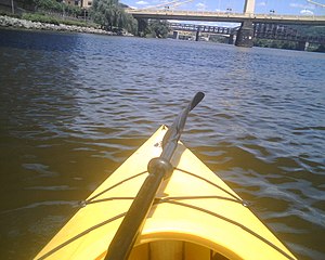 This is the view from my kayak on the river. T...