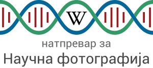 Macedonian logo of the ESPC