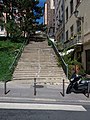 Les escaliers de la rue Grognard, depuis la rue Magneval.