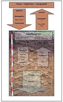 mécanismes de la pédogenèse