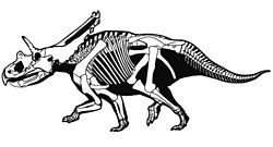 Mojoceratops.jpg